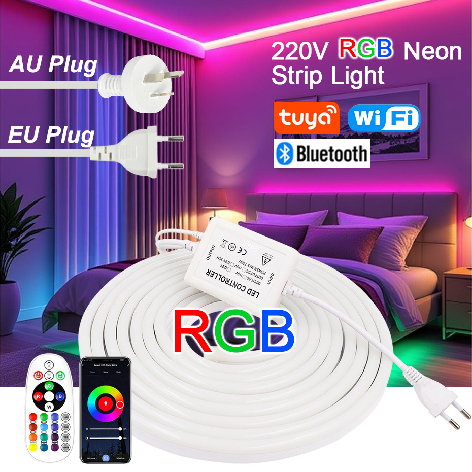 Outdoor Lighting Timer Switch - Striscia LED Neon RGB 220V con