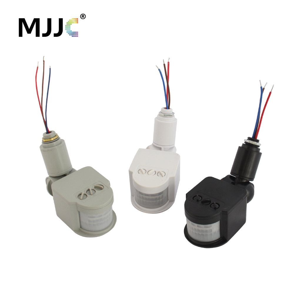 Outdoor Lighting Timer Switch - Sensore di movimento 220V 12V Automatico