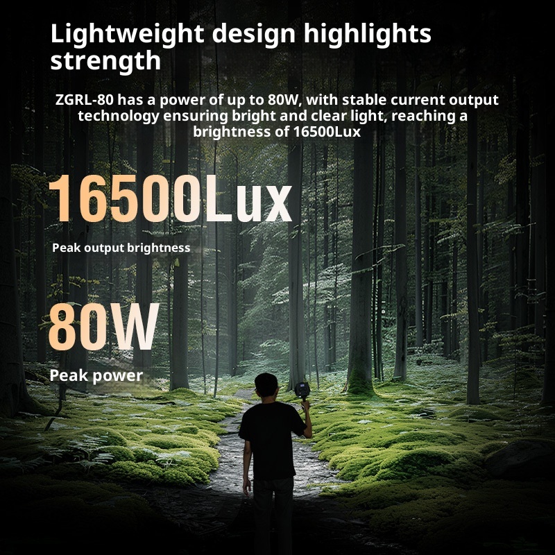 ZGRL80 80W COB LED Video Light - Outdoor Lighting For Photography recensione e prezzo