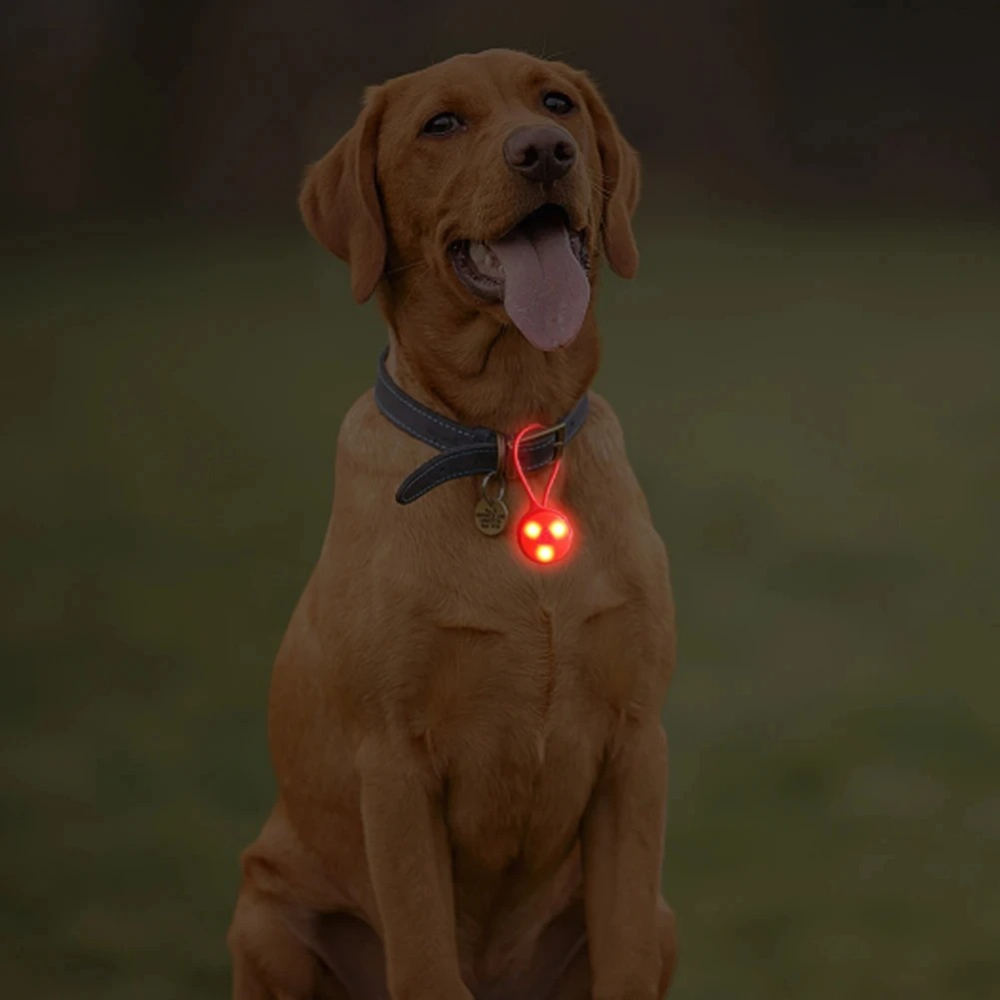 Luci per Zaino da Esterno, Luc - Outdoor Lighting Led Strip recensione e prezzo