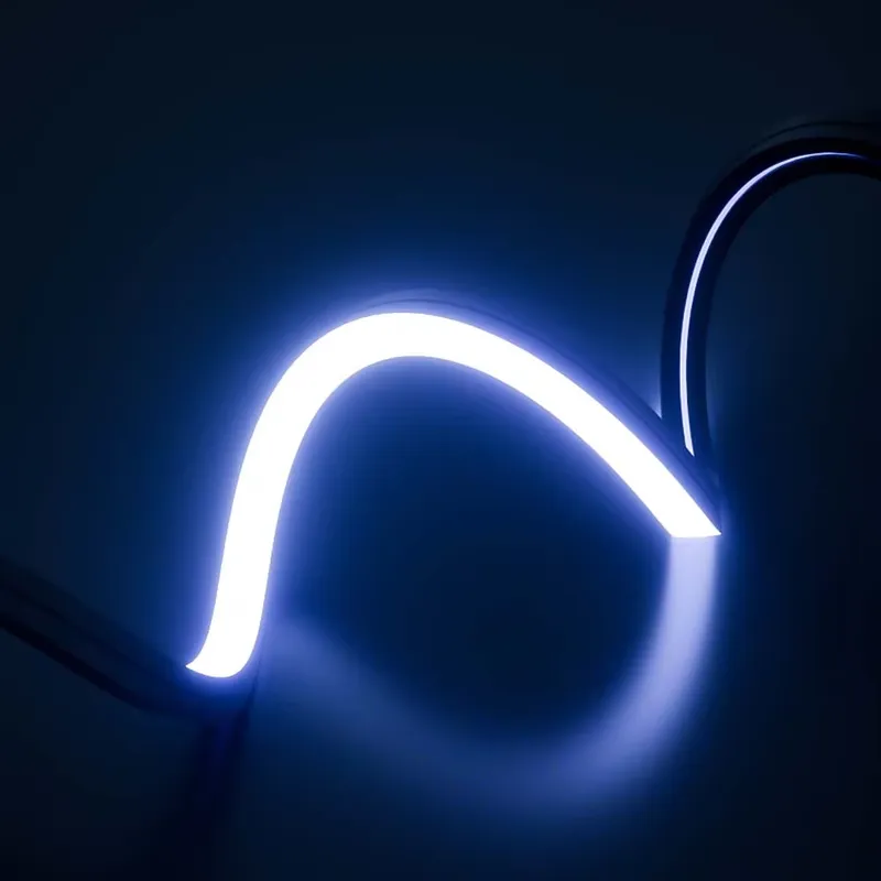 Striscia LED Neon a Colori Per - Outdoor Lighting Led Strip recensione e prezzo